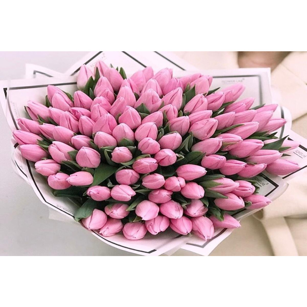 Красавица Эмиль Пинк - 1