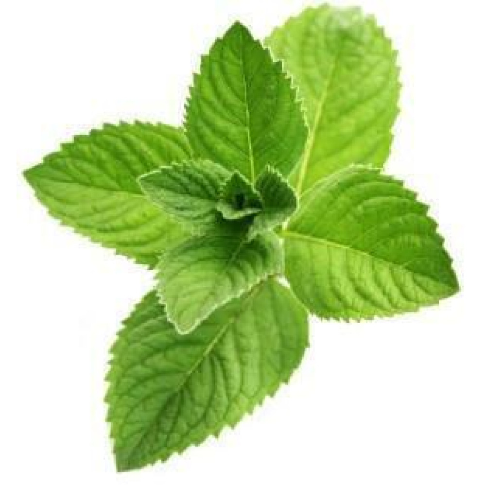 نعناع عضوي 100 جرام - 1