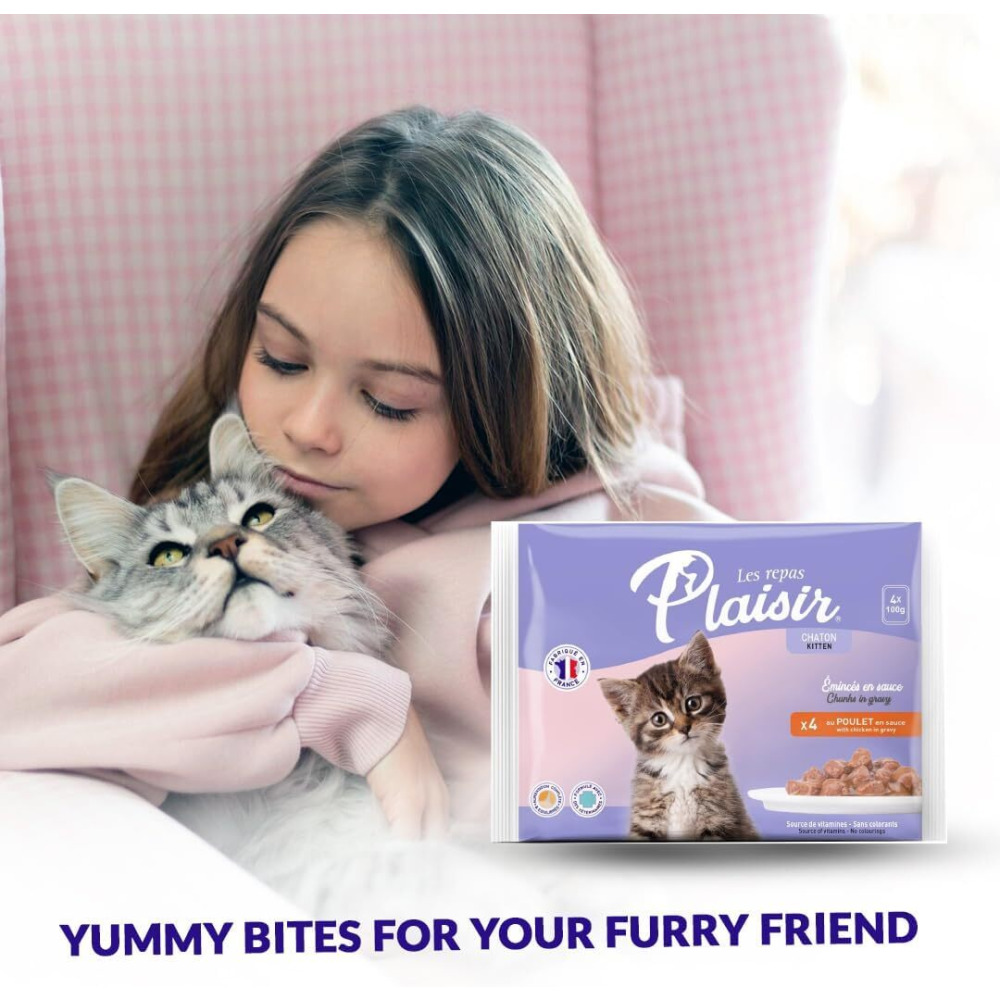 Wet Food Plaisir Kitten Cats Chunks, with Chicken in Gravy, 4 x 100g - 4