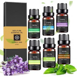 Wasserstein Oils / Essential oils, 100% pure therapeutic grade oils kit- top 6 aromatherapy oils gift set, 6x10 ml - 1 miniature