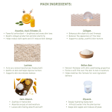 NEMO Healing Forest Vitamin Shower Filter - 3 miniature