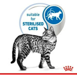 Wet Cat Food Royal Canin Indoor Sterilised In Jelly Adult 12 x 85 g - 4 miniature