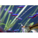 Стабилизатор Для Аквариума Seachem Stability 500 мл - 4 miniature