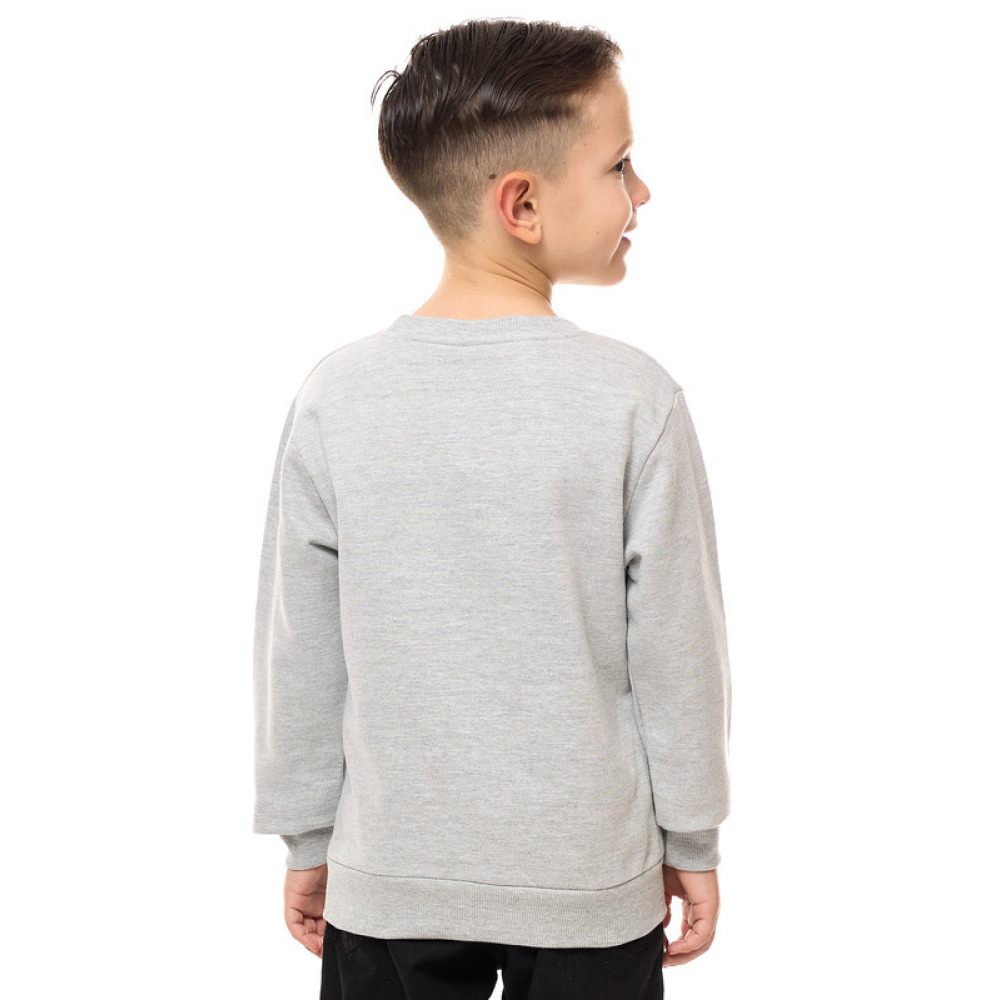 Boys' Sweatshirt Grey Mil 2-3 YRS - 3