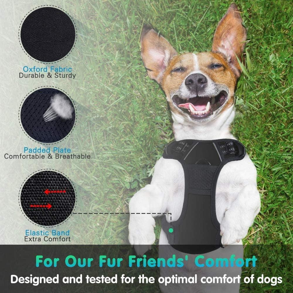 Eagloo / Dog harness, No pull, With 2 metal rings, Adjustable - 4