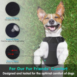 Eagloo / Dog harness, No pull, With 2 metal rings, Adjustable - 4 miniature