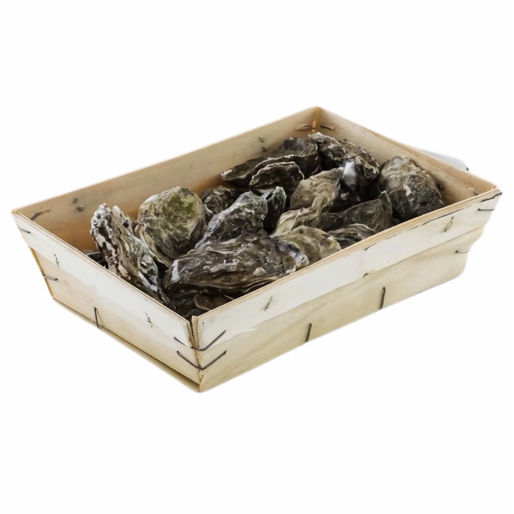 Fresh Oyster number 3 Fine De Claire - 12 Pcs - 1