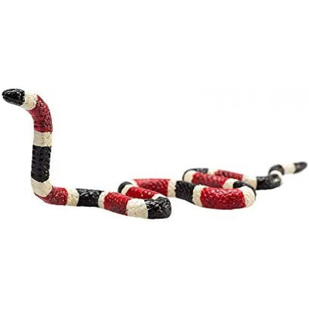 Coral Snake - 1