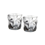 Fissman 2-Piece Whiskey Glasses 260ml Glass - 1 miniature