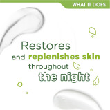 Simple, Kind to Skin Vital Vitamin Night Cream, 50 ml - 6 miniature