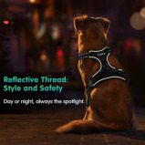 Eagloo / Dog harness, No pull, With 2 metal rings, Adjustable - 7 miniature
