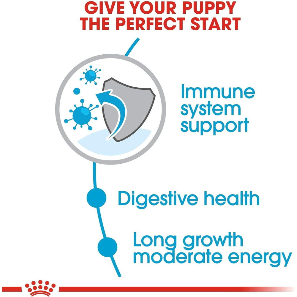 Royal Canin Shn Maxi Puppy 10 Kg Size Health Nutrition Dog Food, Multicolor - 2