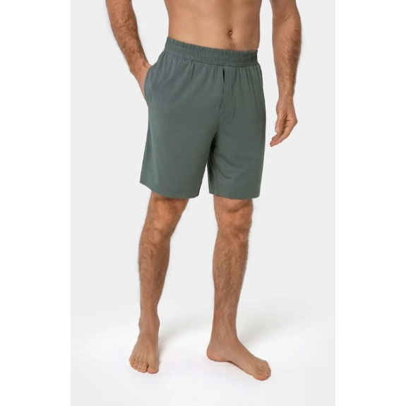 Shorts for men Stay Cool, color Spruce, size S