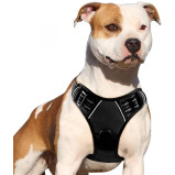 Eagloo / Dog harness, No pull, With 2 metal rings, Adjustable - 1 miniature