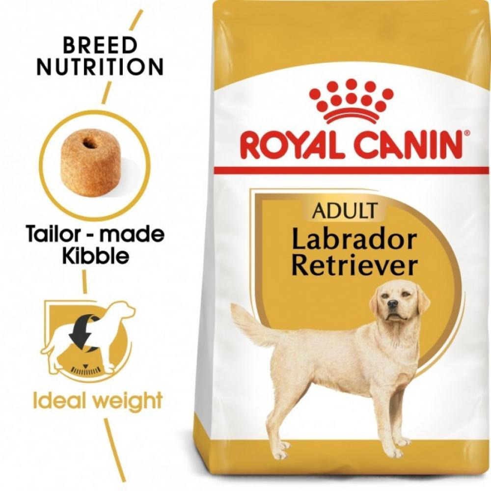 Royal Canin \/ Dry food, Labrador adult, 26,46 lbs (12 kg) - 1