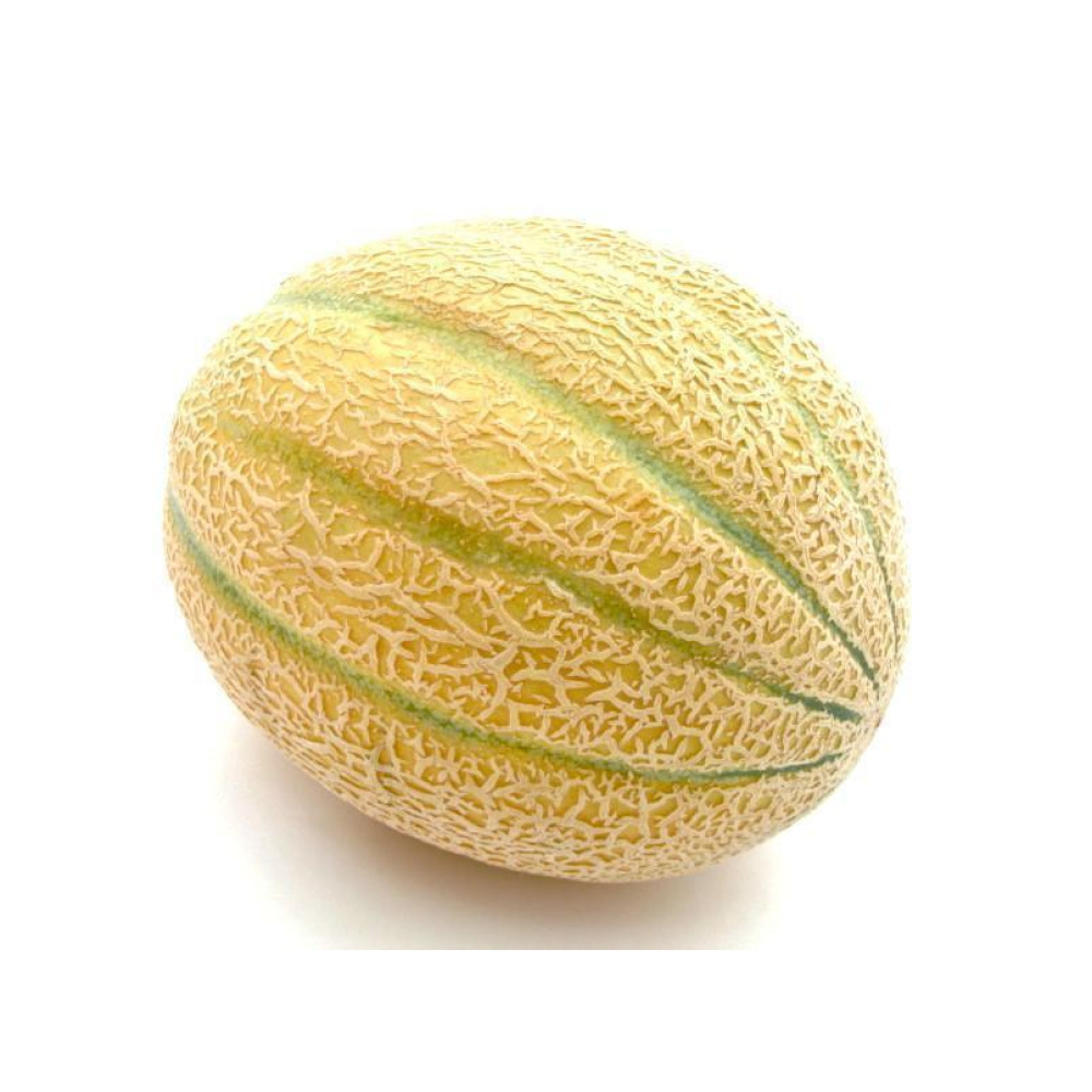 Organic Sweet Melon - 2