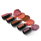 Renee Fab 5 Nude 5-in-1 Lipstick, 7.5g - 6 miniature