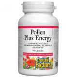Natural Factors Pollen Plus Energy, 90 Capsules - 1 miniature