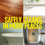 Clorox Pine-Sol Cleaner Multi Purpose, 28 oz. - 3 miniature