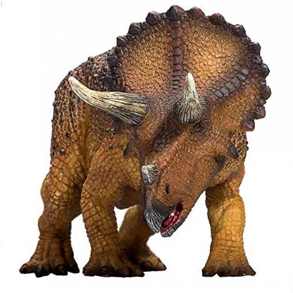 Triceratops - 5