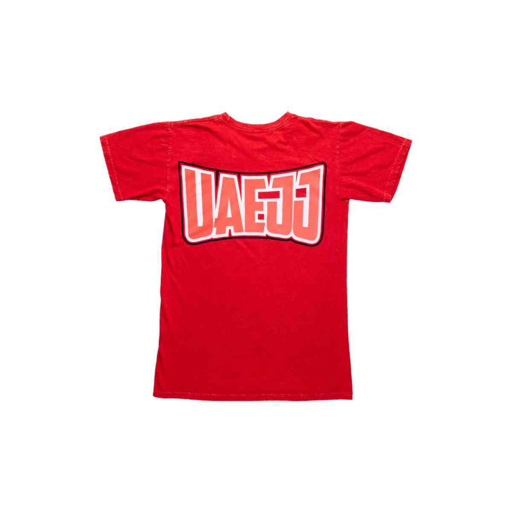 T-Shirt for UAEJJ Falcon Cotton Men, Red, size L - 3