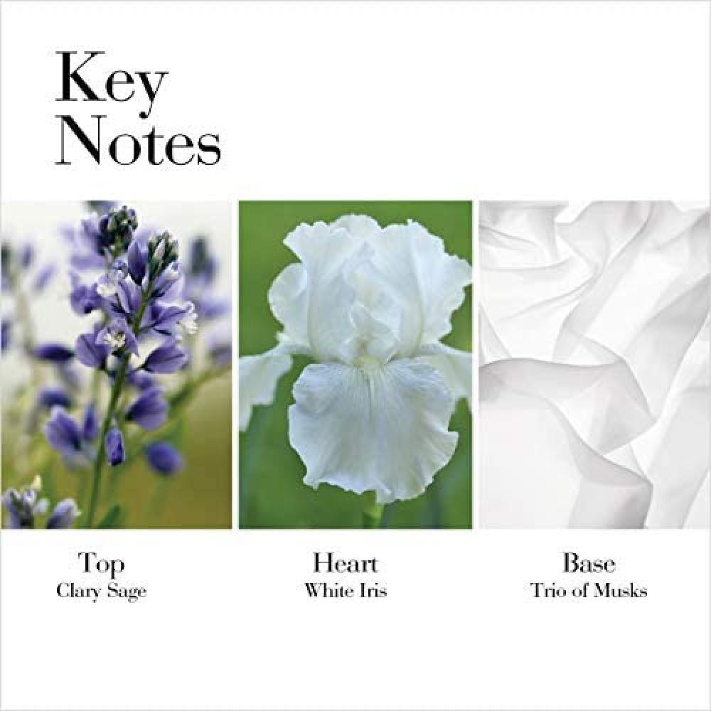 Elizabeth Arden / Eau de toilette, White tea, For women, 50 ml - 3