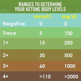 Trister / Ketone & glucose test strips, TS-390UGK, 50 pcs - 3 miniature