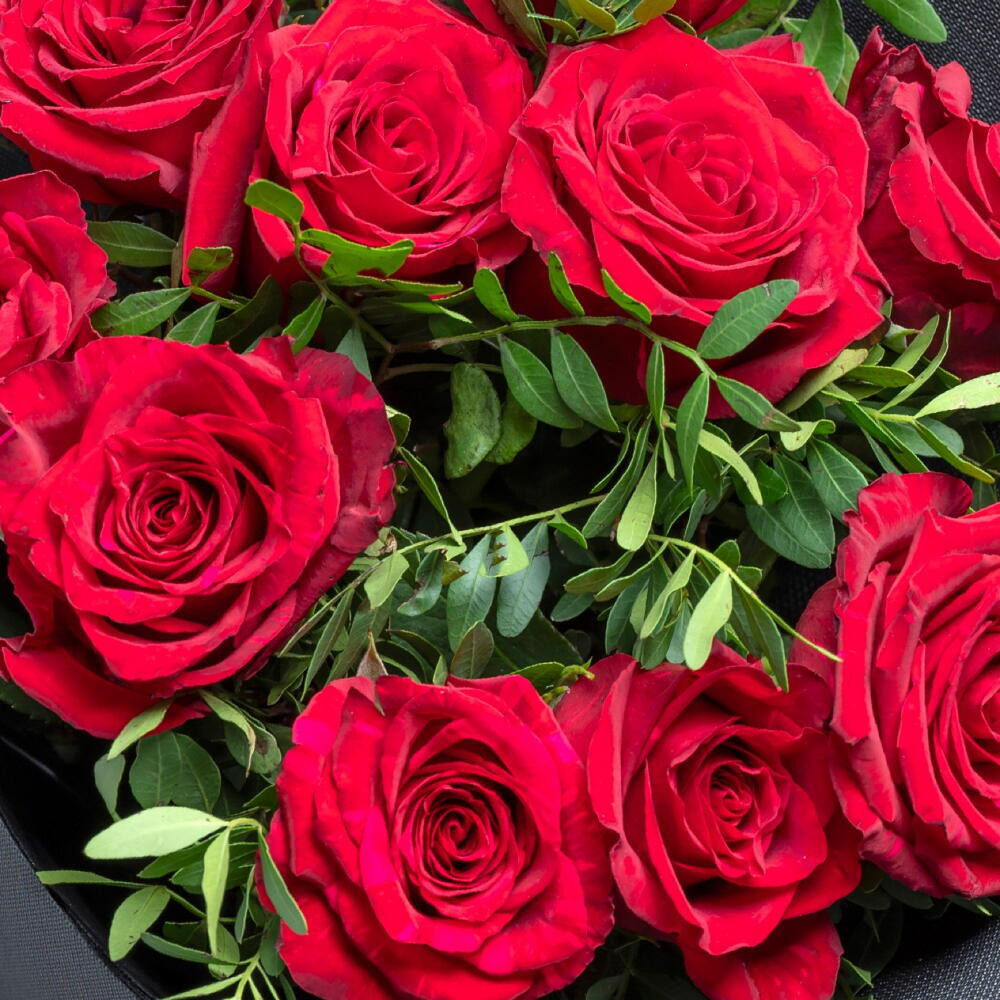 9 Premium Red Roses - 2